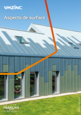 Aspects de surface VMZINC